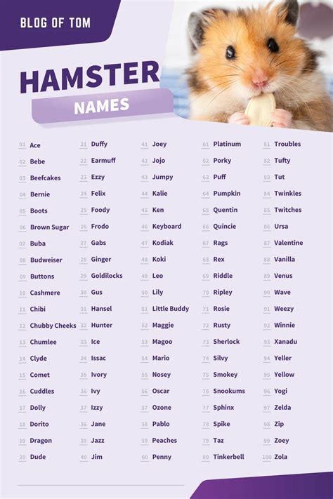 cute hamster names boy